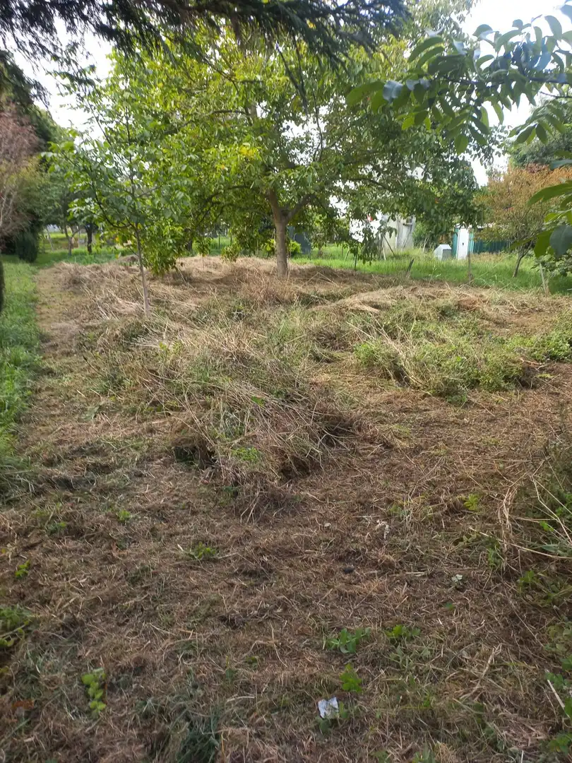 Terreni e lotti in vendita a A Gándara, imagen 5