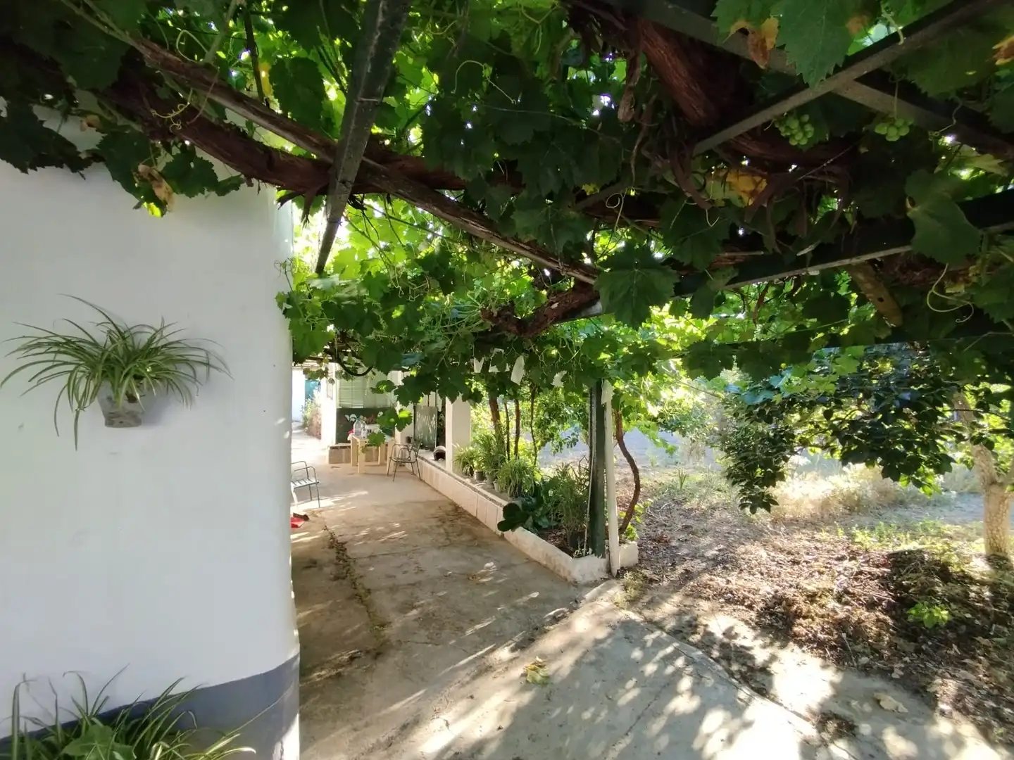 Terreno rustico in vendita a Calle Tinte, imagen 5