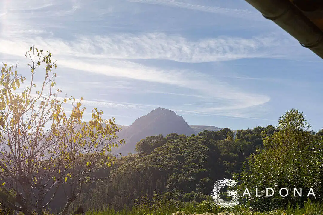 Garden of Houses for sale in Baliarrain, Gipuzkoa