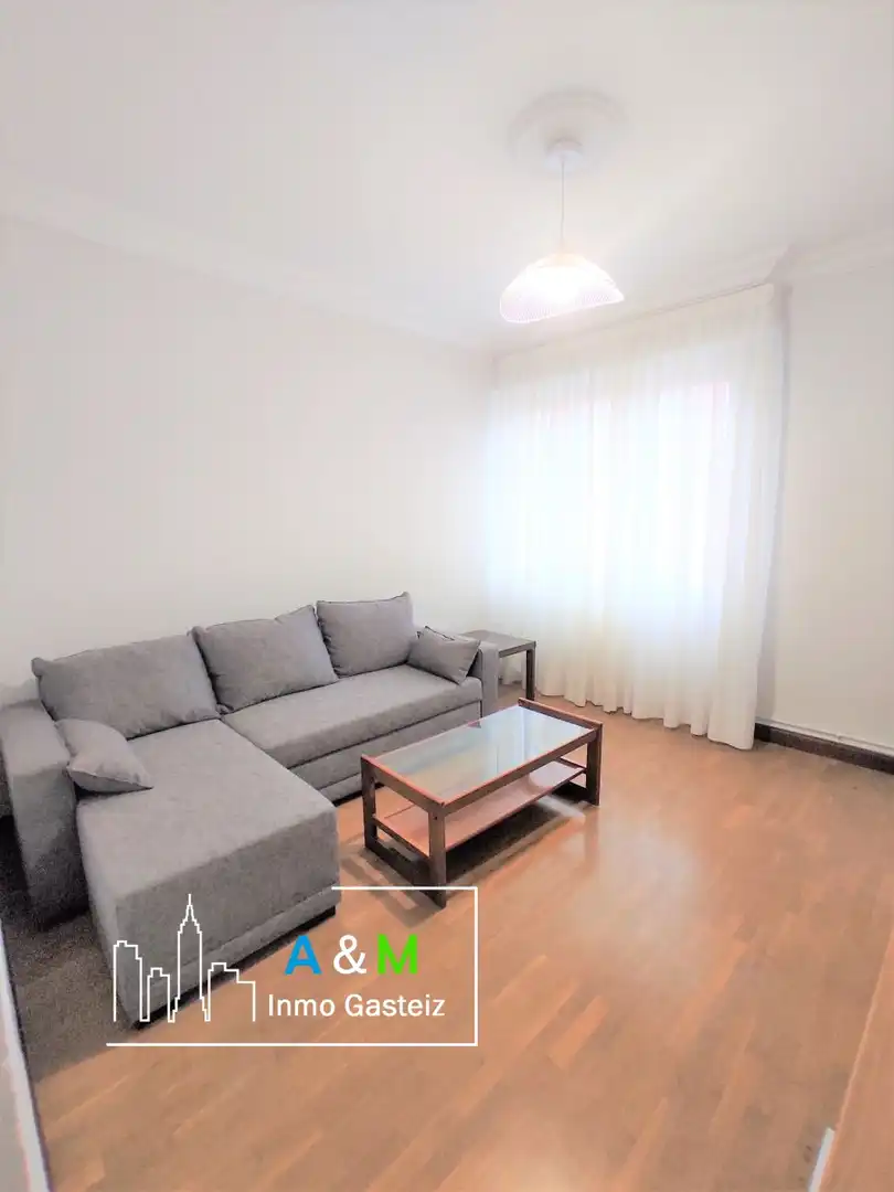 Living room of Flat for rent in Vitoria - Gasteiz  with Heating, Parquet flooring and Terrace