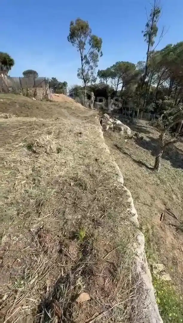Terreny rústic en venda a Serra Brava, imagen 10