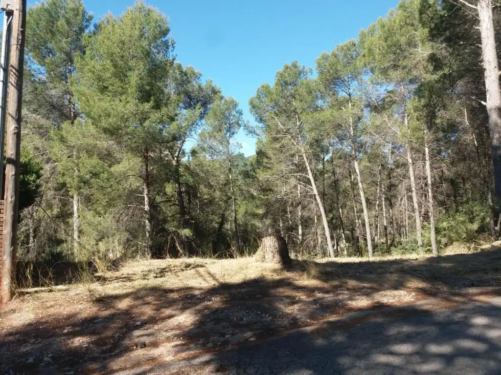 Terreny rústic en venda a MARE DE DEU DE MONTSERRAT, imagen 7