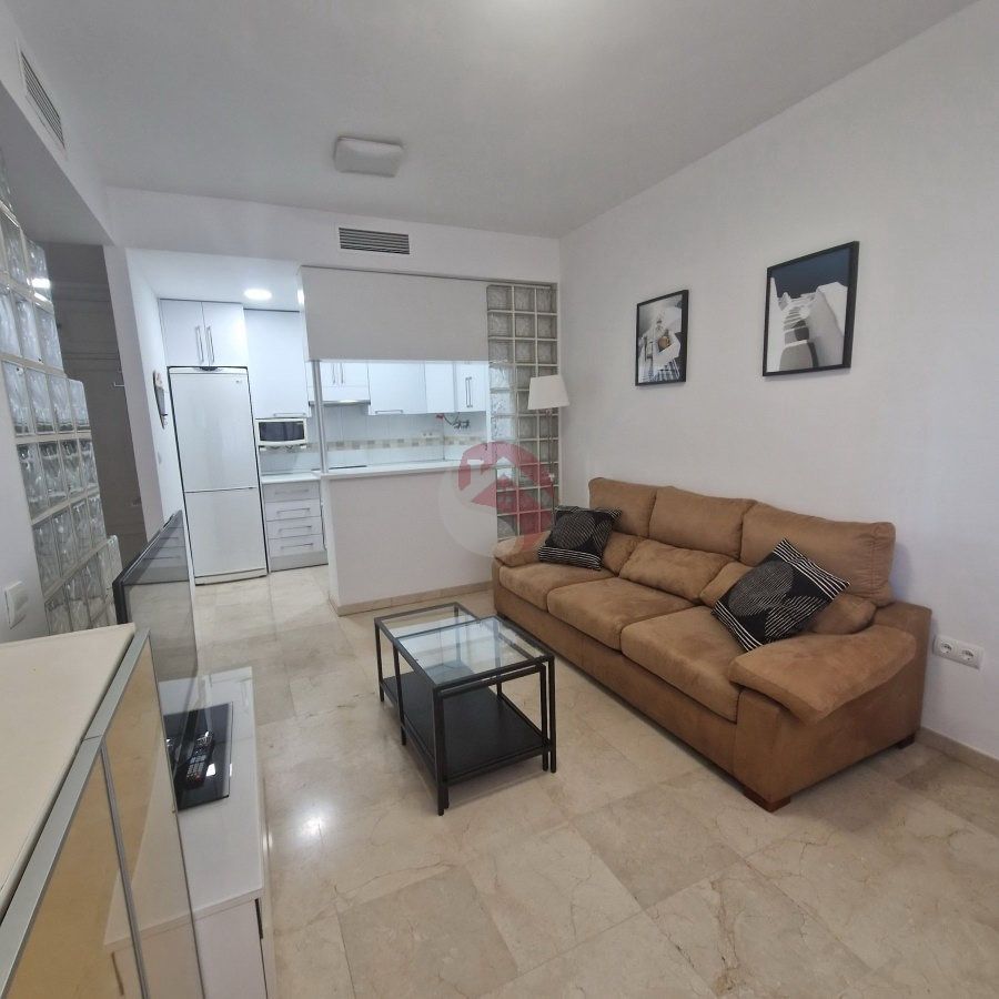 Sala d'estar de Pis de lloguer en Málaga Capital amb Aire condicionat i Moblat