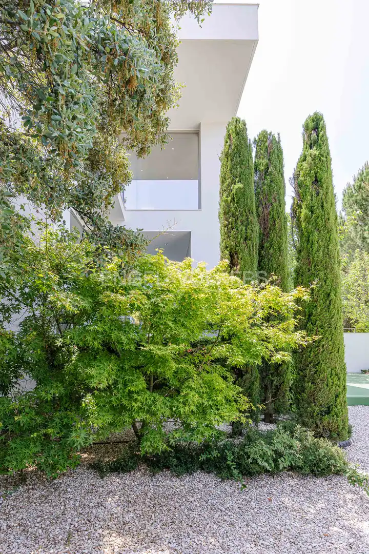 Vista exterior de Casa o chalet en venta en Boadilla del Monte con Aire acondicionado, Calefacción y Jardín privado