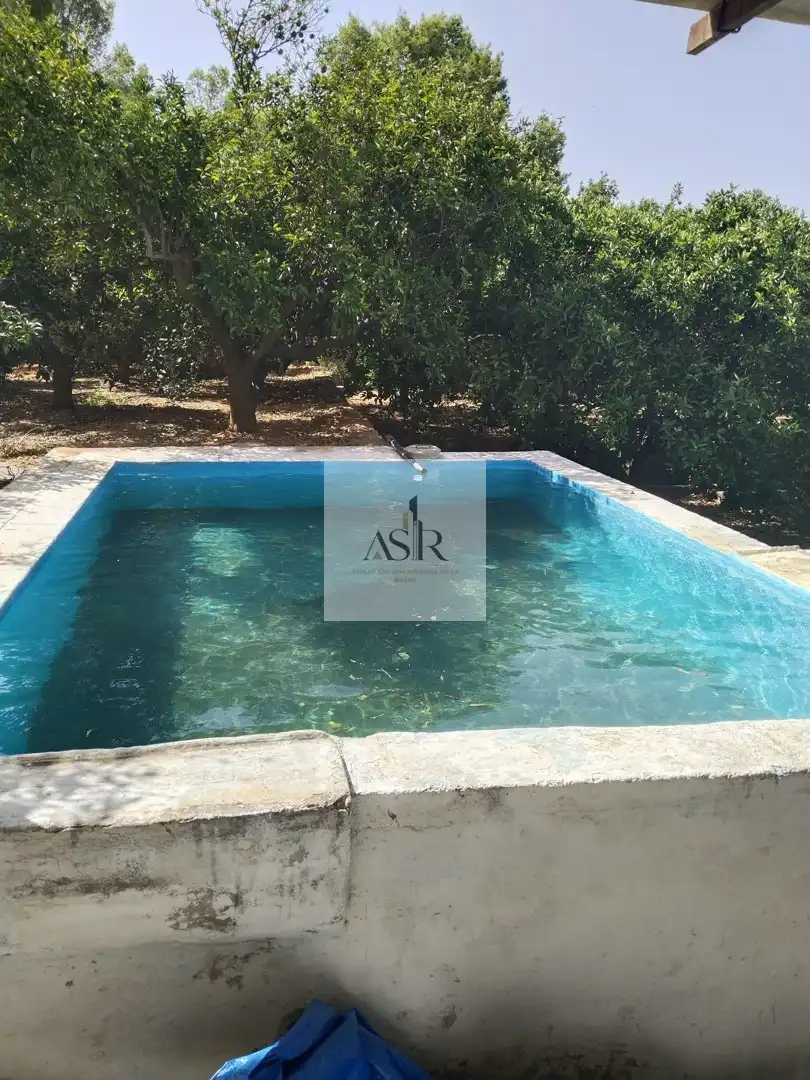 Swimming pool of Houses for sale in Alzira  with Terrace, Storage room and Swimming Pool