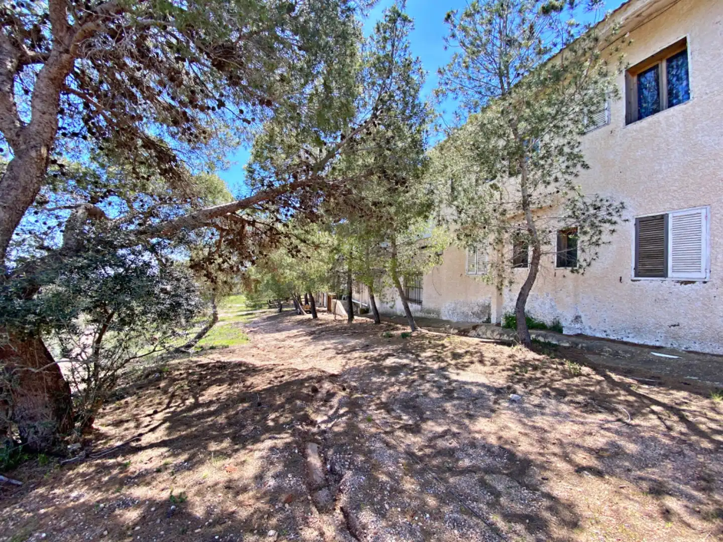 Inmuebles singulares en venta en Aledo, imagen 3