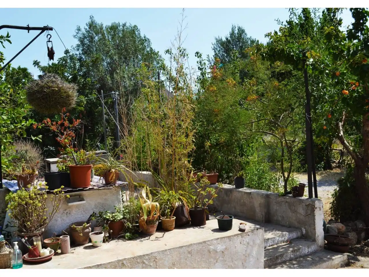 Jardín de Casa o chalet en venta en  Palma de Mallorca con Jardín privado y Terraza