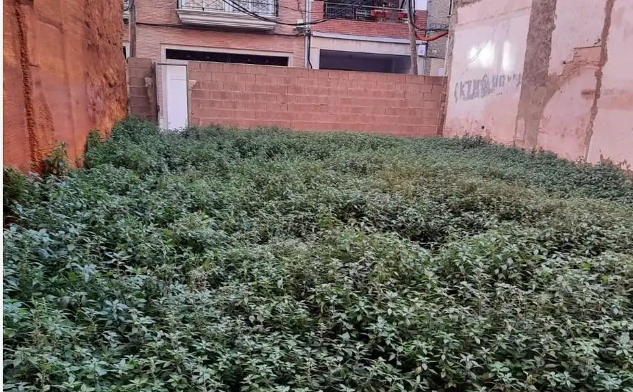 Terreno residencial en venta en Centro, imagen 6