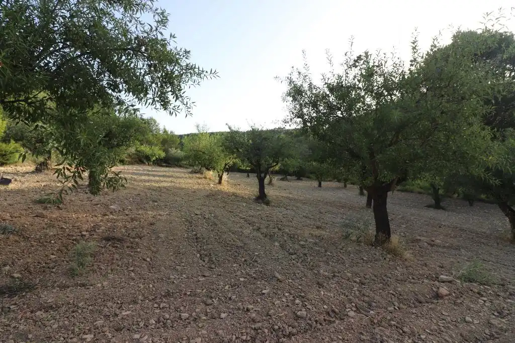 Finca rústica en venda en Buñol amb Jardí privat, Terrassa i Traster