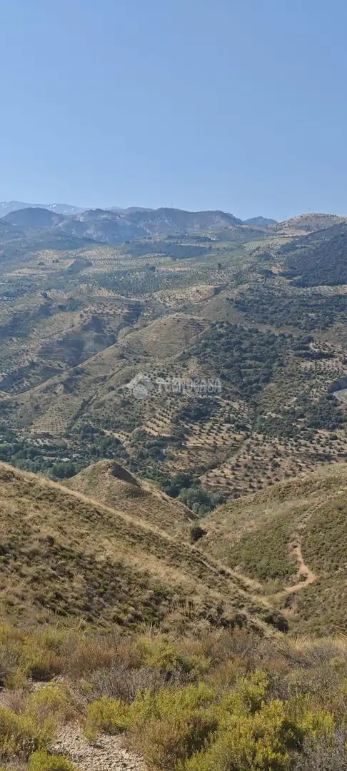 Rustikales Grundstück zum Verkauf in Pinos Genil, imagen 20