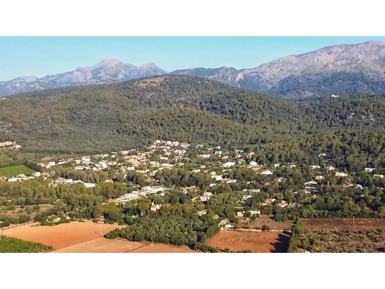 Rural land for sale in Sa Pobla, imagen 15