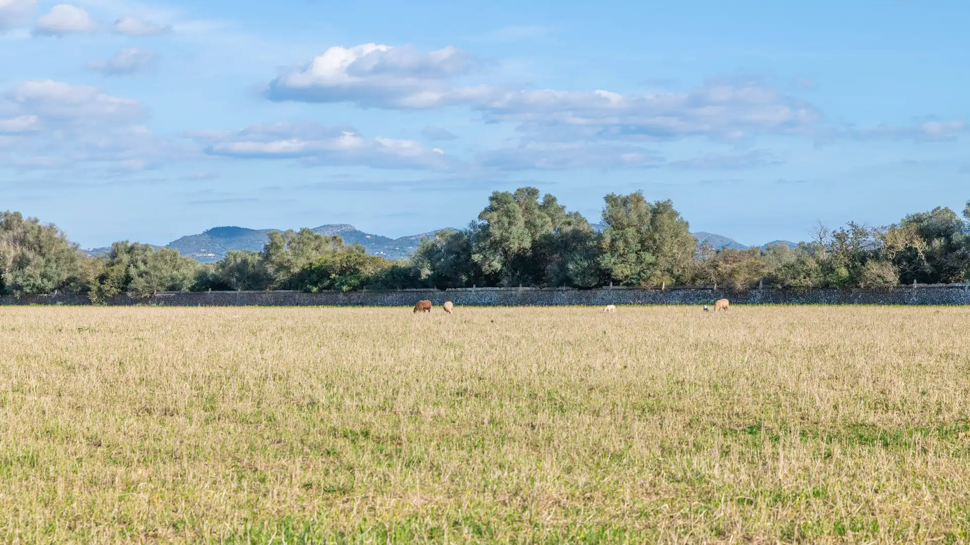 Finca rústica en venta en Vilafranca de Bonany con Terraza, Trastero y Balcón
