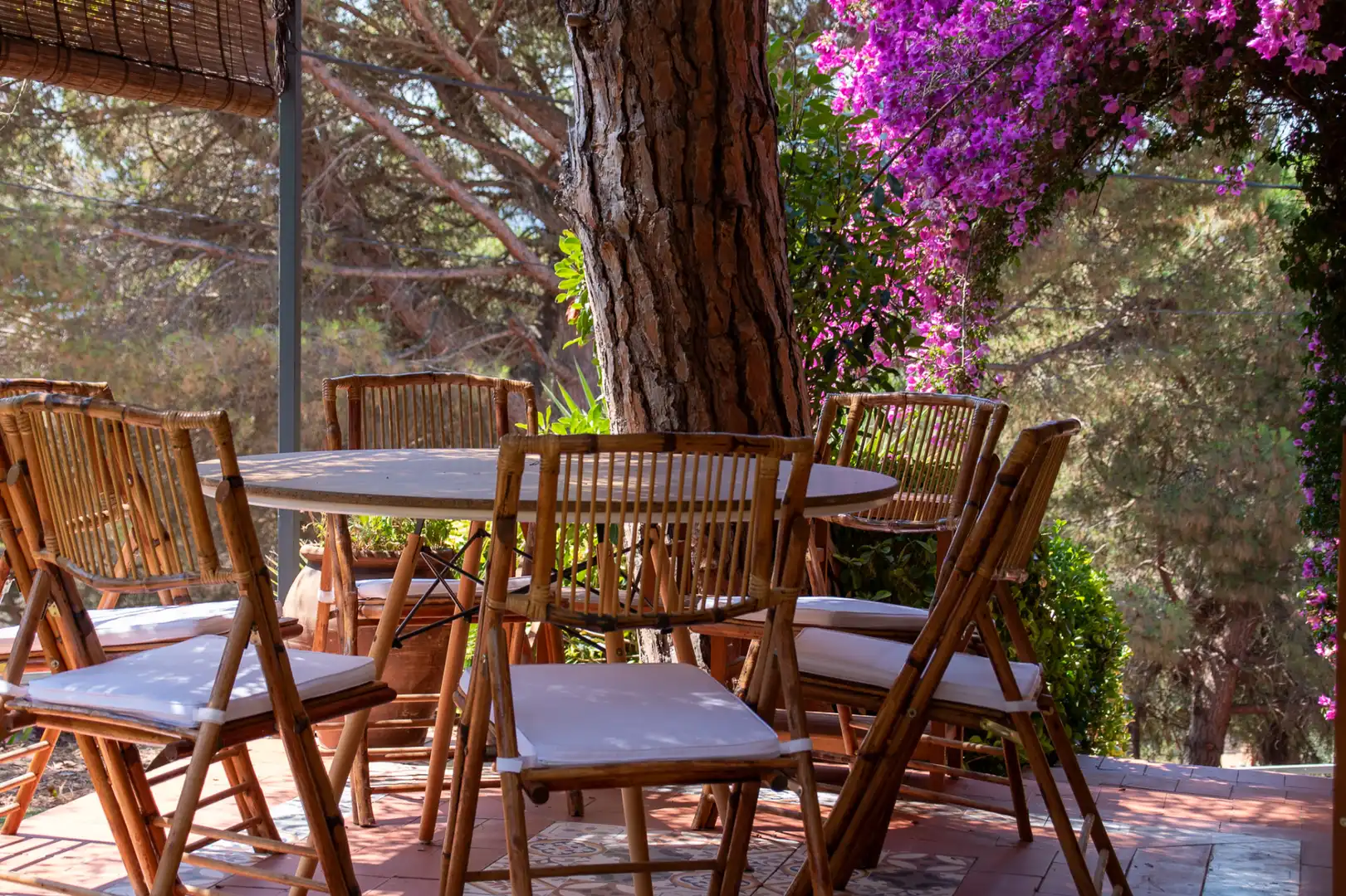 Casa con terraza en venta en Carrer del Dolmen Mas Bousarenys, imagen 46