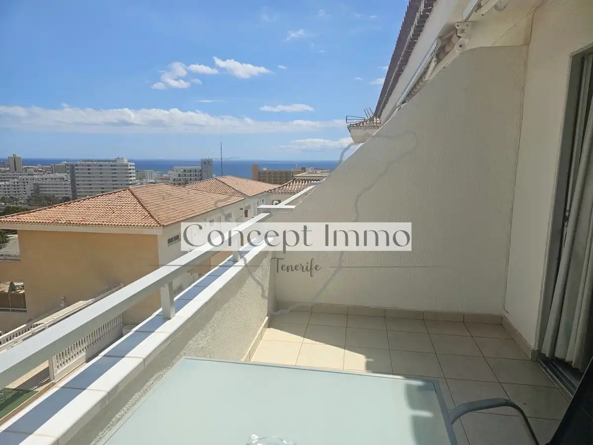 Monolocale con terrazza in vendita a Calle Finlandia, imagen 13
