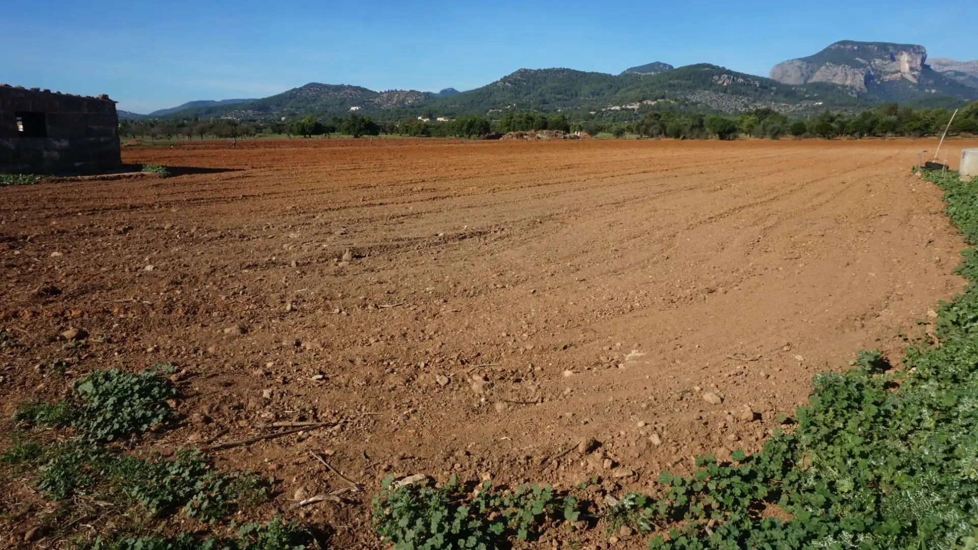 Terreno rustico in vendita a Binissalem, imagen 3