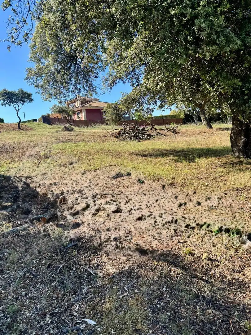 Residencial en venta en Carrascal de Barregas
