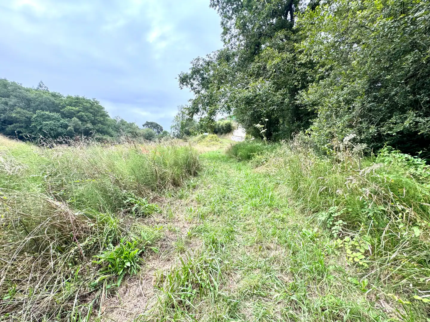 Terreno en venta en Villaviciosa