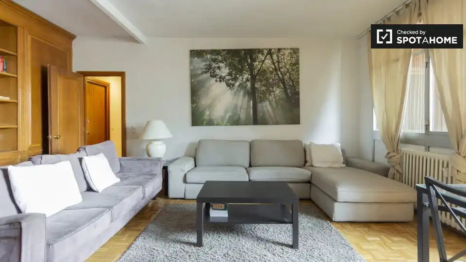Living room of Flat for rent in Madrid  with Air Conditioner, Heating and Furnished