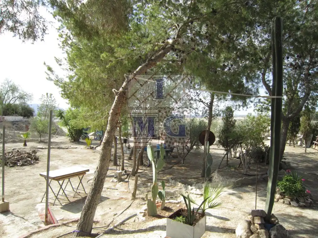 Casa o chalet en venta en Fortuna