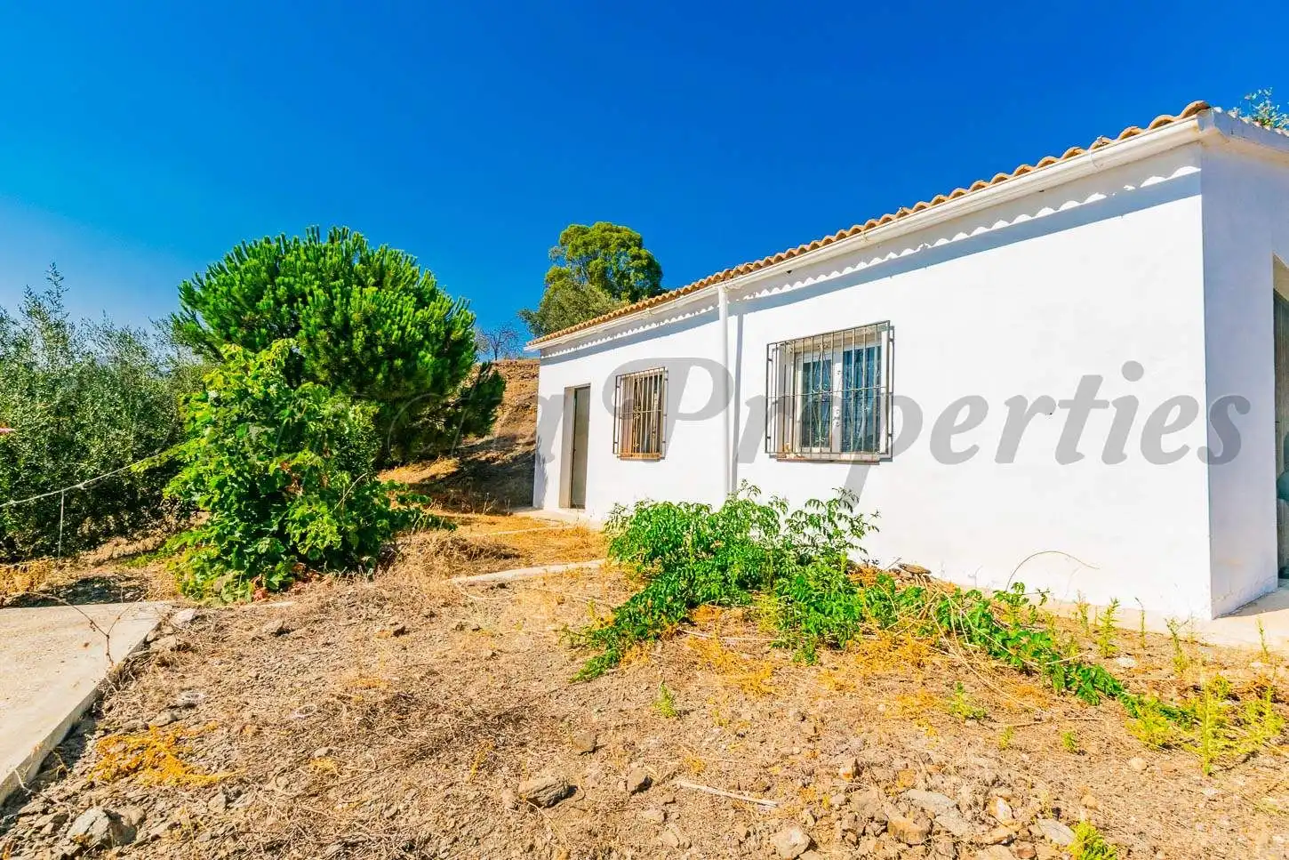 Casa con jardín en venta en Arenas, imagen 12