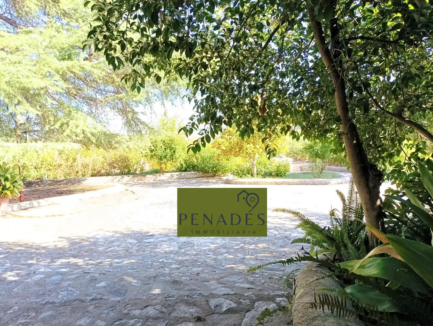 Villa in vendita a Santa Ana, imagen 13
