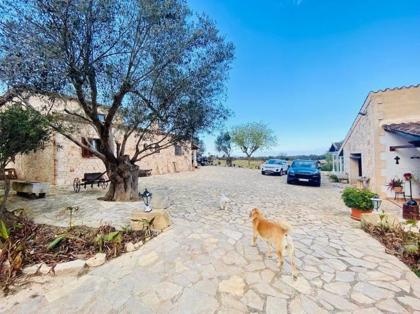 Casa amb terrassa en venda a Santa Margalida - Carrer de lAutonomia, imagen 12