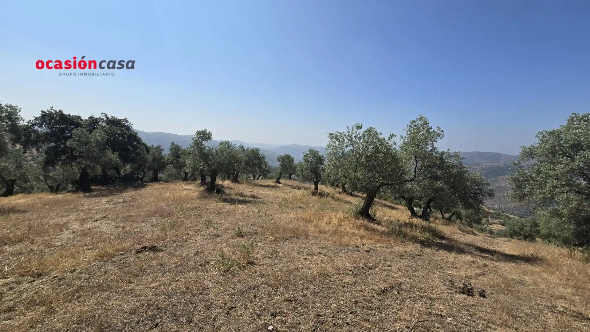 Finca rústica en venta en Pozoblanco
