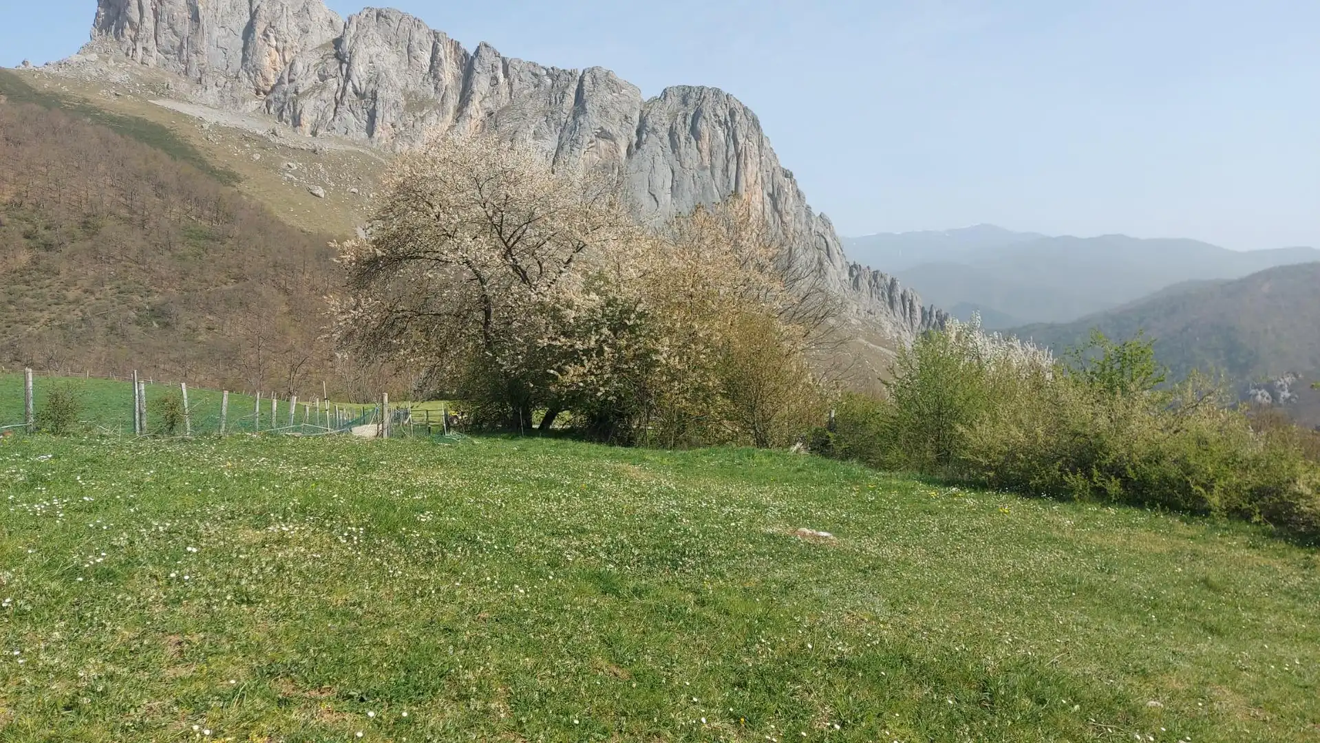 Terreni e lotti in vendita a Pesaguero, imagen 7