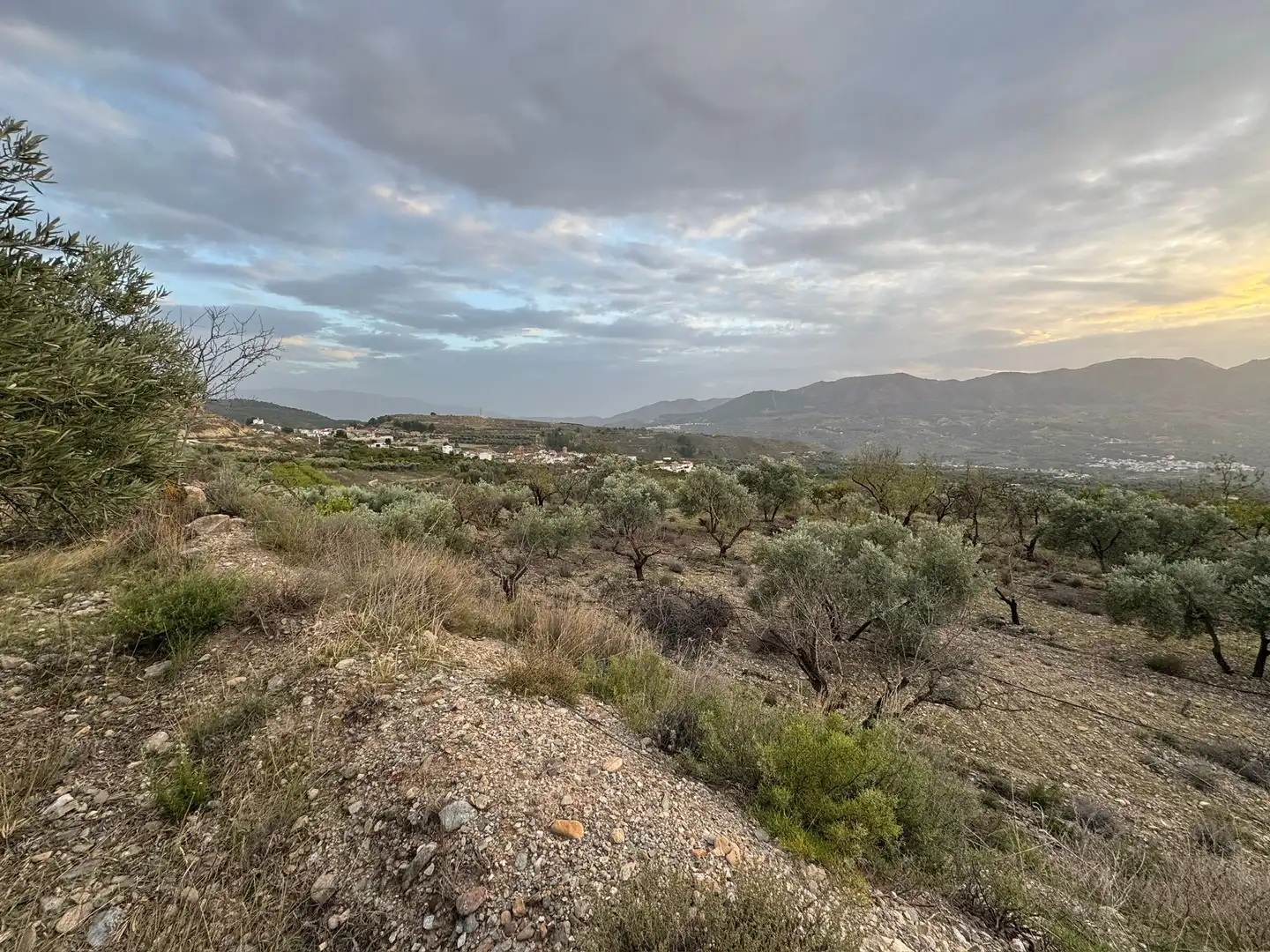 Terreno rustico in vendita a Lecrín, imagen 12
