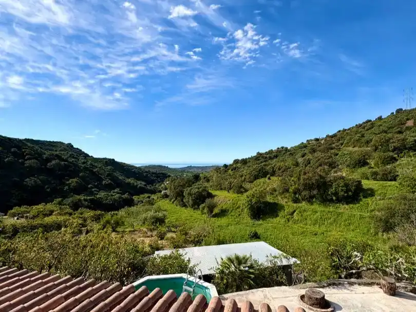 Vista exterior de Finca rústica en venta en Altos de Estepona