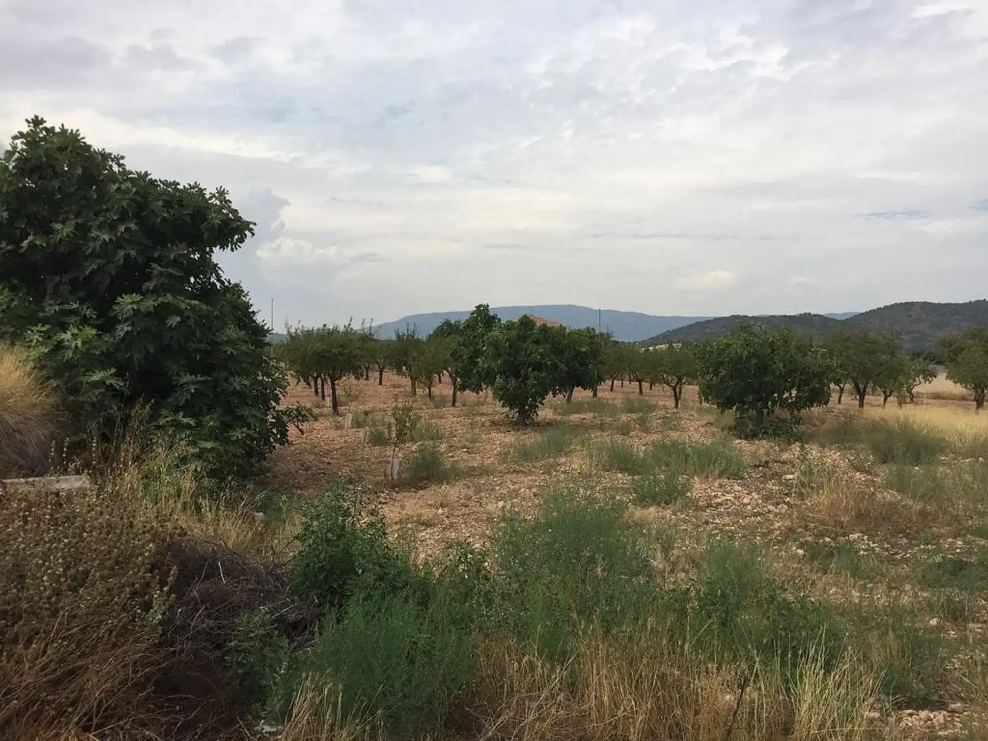 Villa à vendre à Monóvar  / Monòver, imagen 16