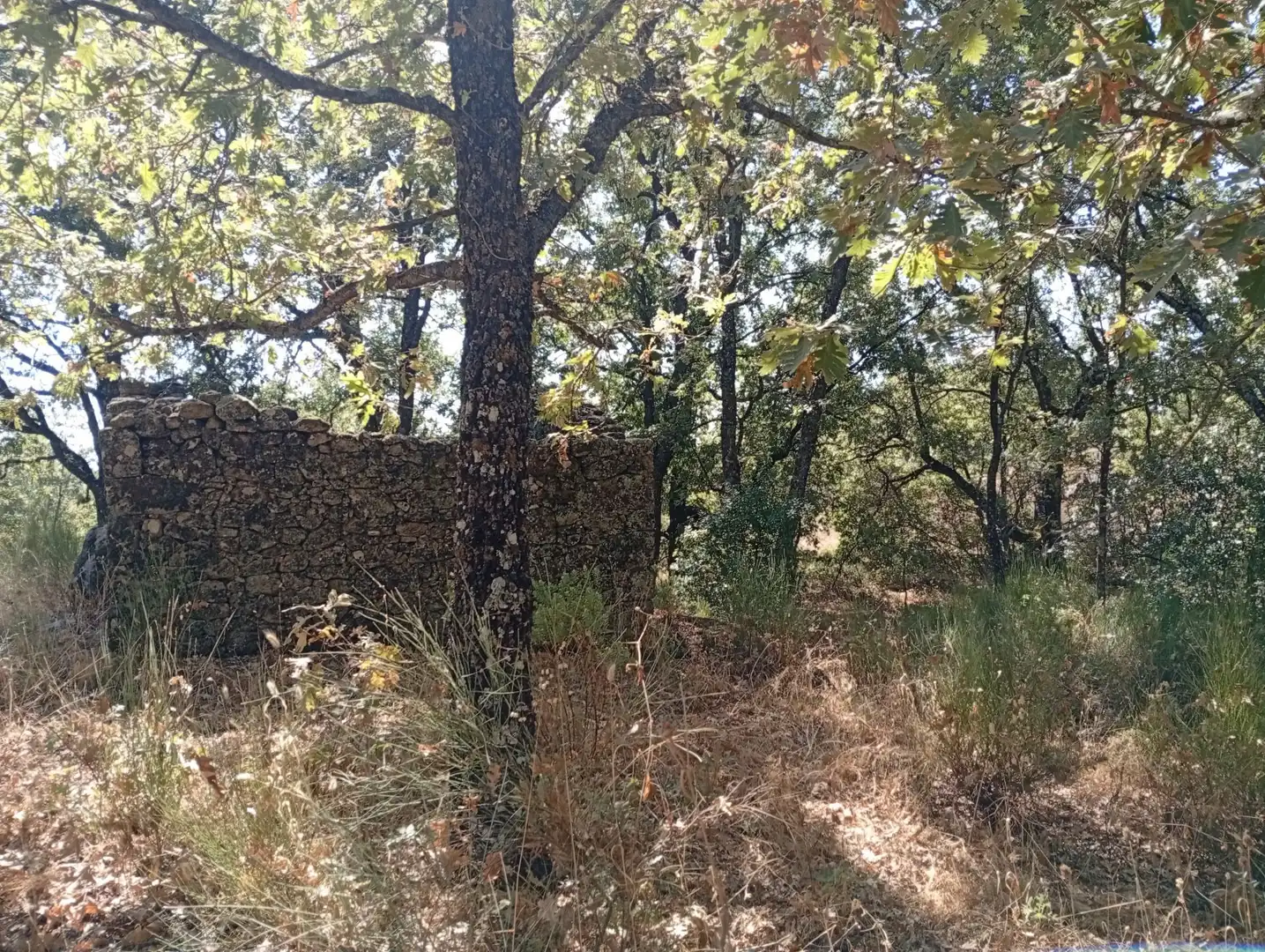 Terreni e lotti in vendita a Villanueva de la Vera, imagen 61