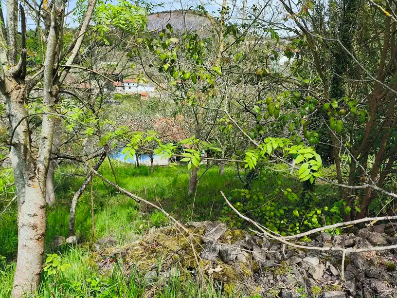 Casa o chalet en venta en Salas con Amueblado