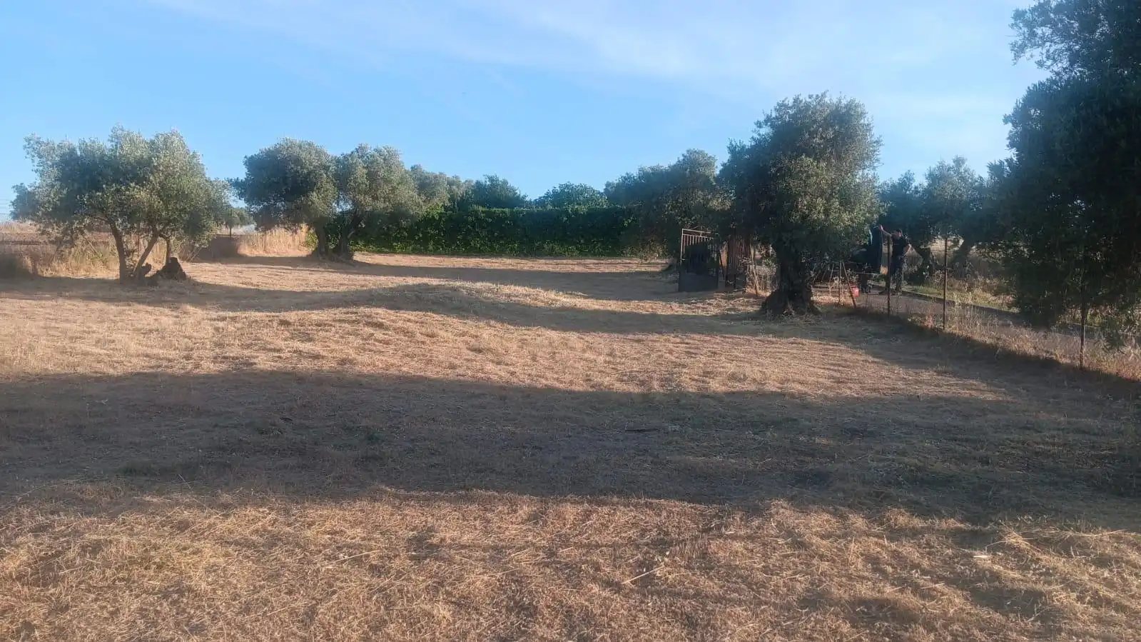 Lands and plots for sale in Pantoja, imagen 6