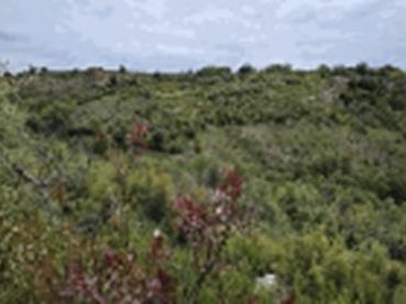 Terreno rustico in vendita a Valdeavellano