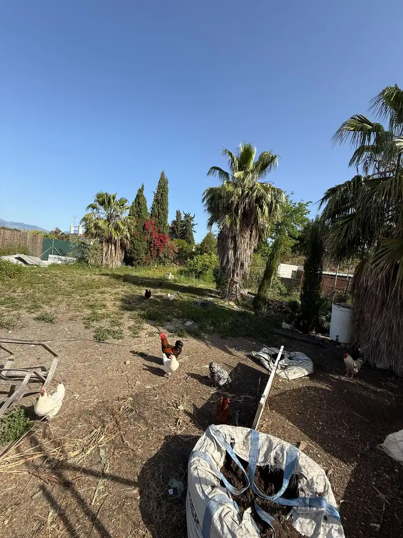 Casa rústica amb piscina en venda a Casalpalma - Fahala, imagen 42