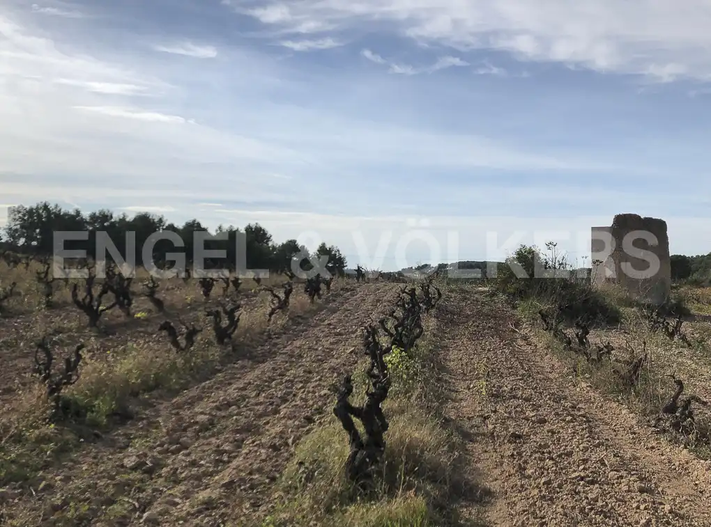 Terreny residencial en venda a Avinyonet del Penedès, imagen 14