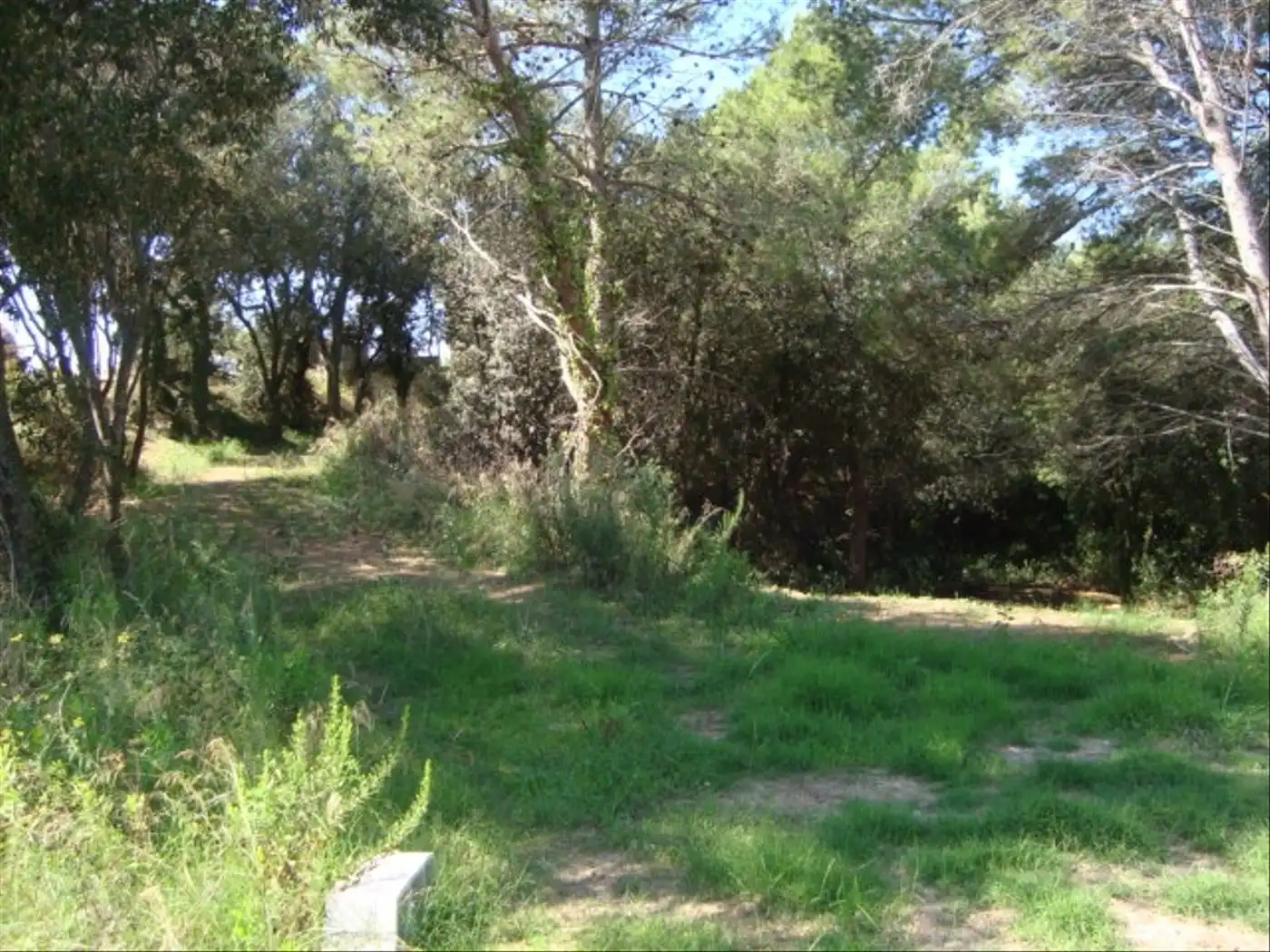 Terreny residencial en venda a Sa Riera - Sa Fontansa, imagen 4