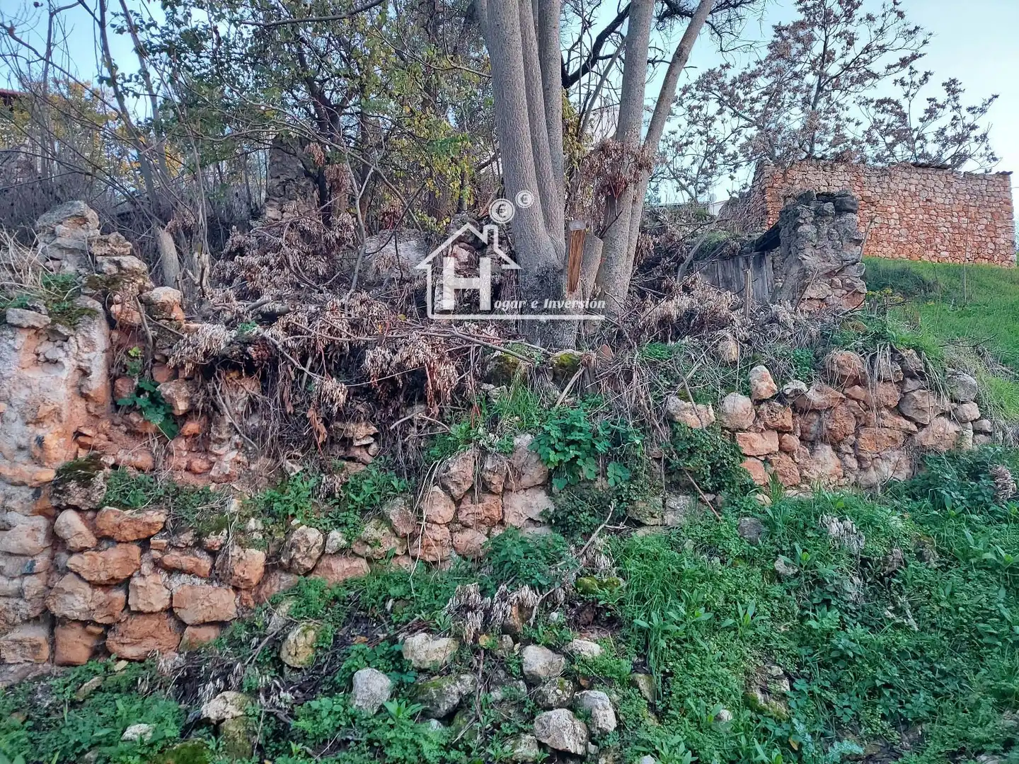 Terreno rustico in vendita a Depósito viejo, imagen 3