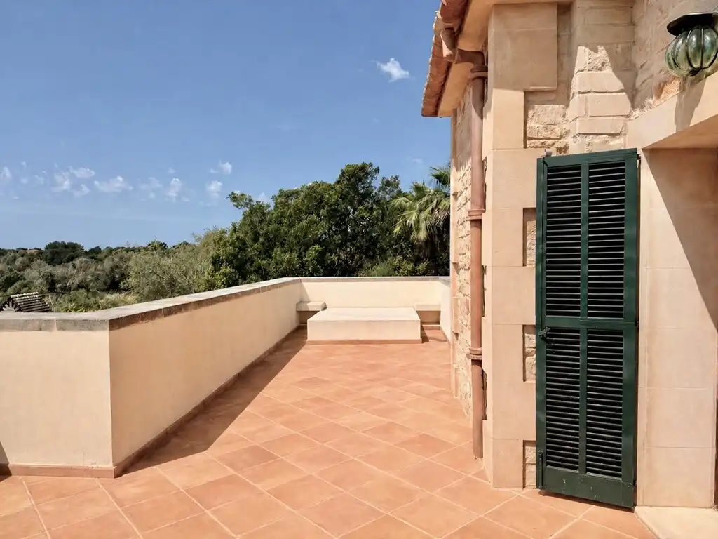 Casa rústica con piscina en venta en Ses Salines Poble, imagen 11