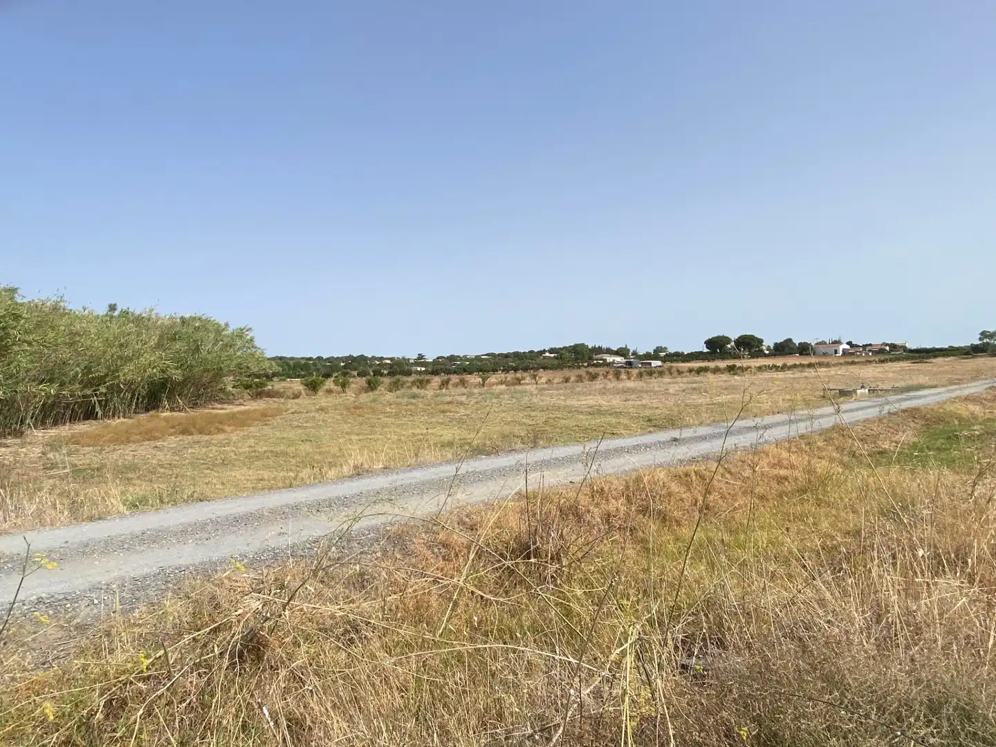 Finca rústica en venta en Aljaraque