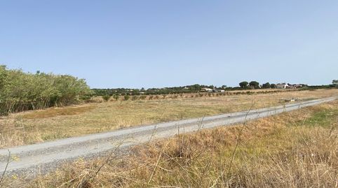 Foto 4 de Finca rústica en venta en Núcleo urbano, Aljaraque