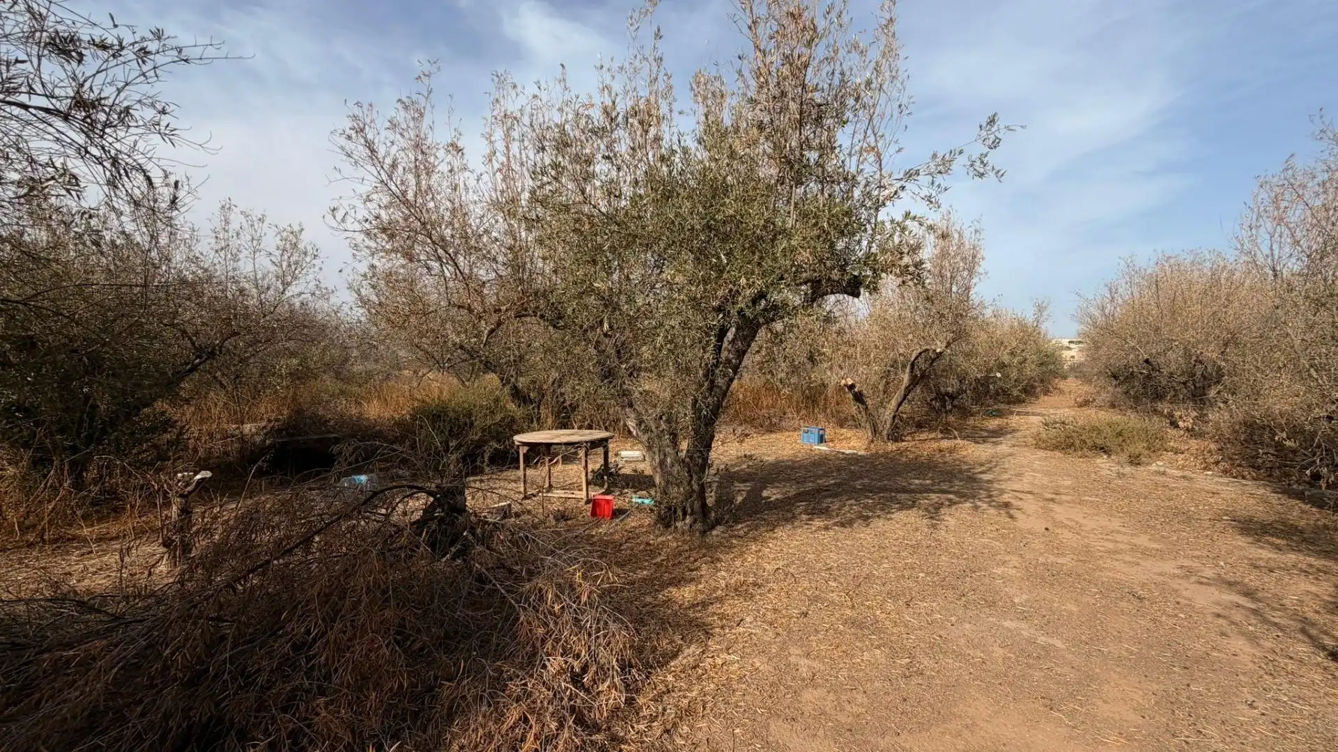 Terreny rústic en venda a Huércal de Almería 5, imagen 5