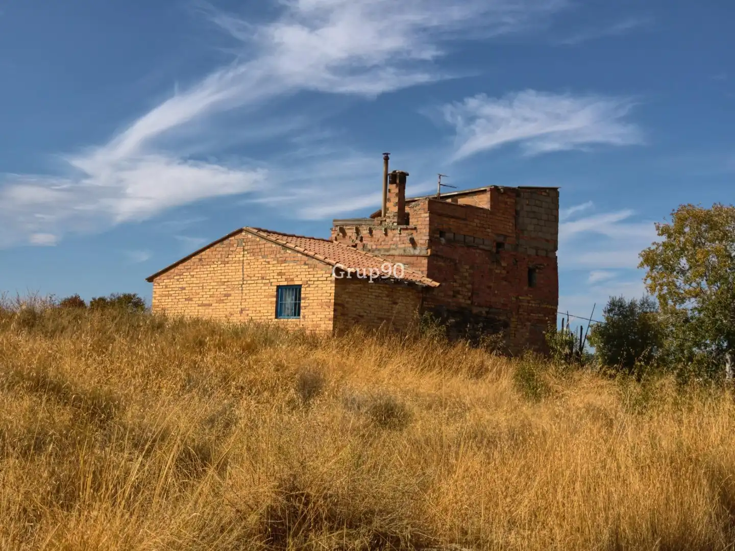 Terreno rústico en venta en Alpicat, imagen 5