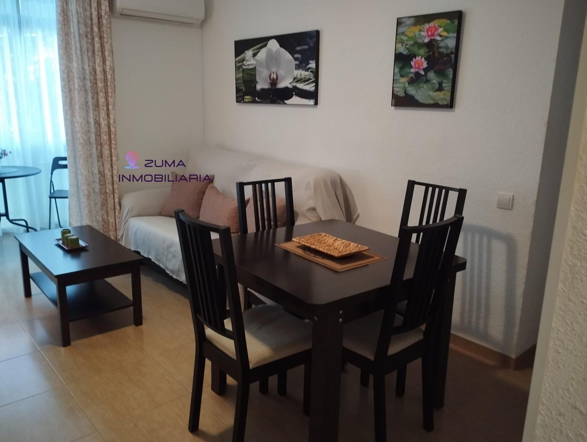 Menjador de Pis de lloguer en Málaga Capital amb Terrassa i Moblat