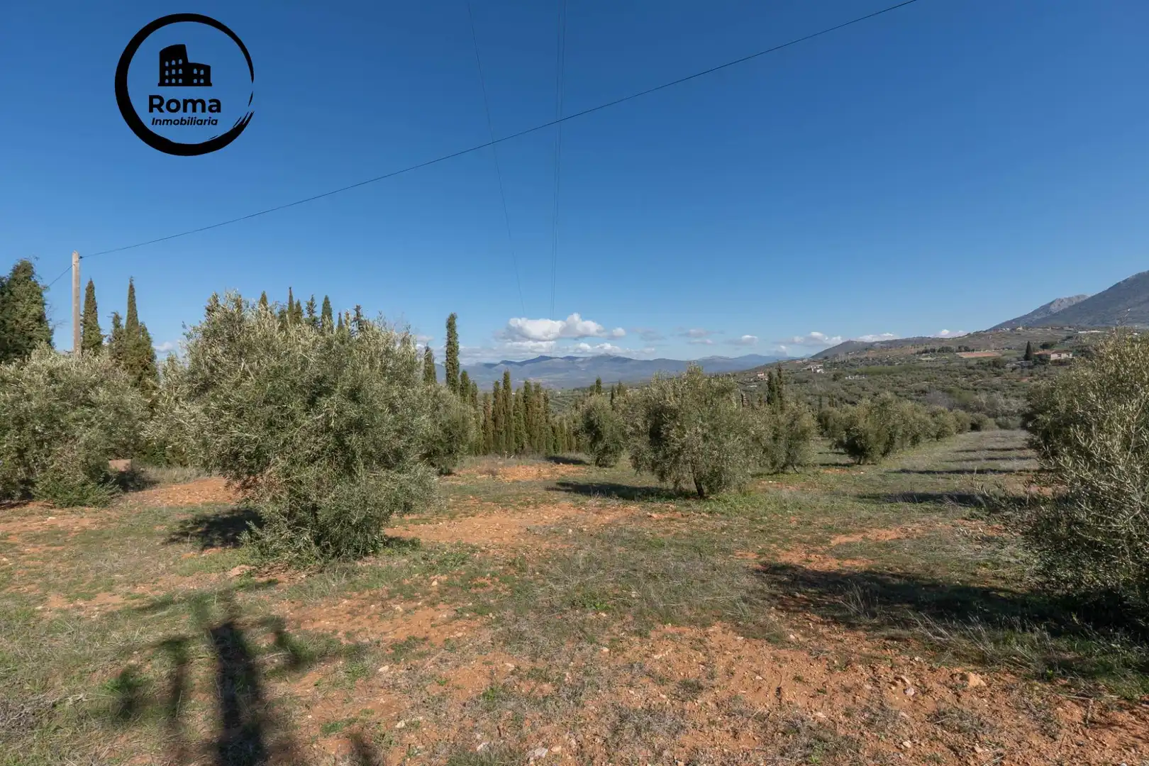 Terreni e lotti in vendita a Cogollos de la Vega, imagen 5