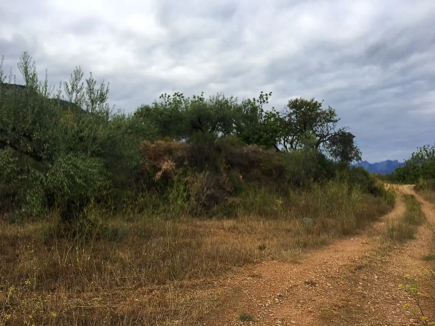 Finca rústica en venda en Benifallet