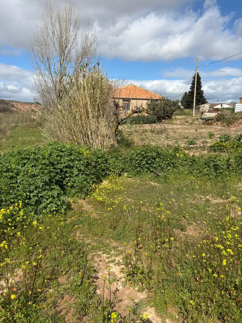 Terreny rústic en venda a Murillo de Río Leza, imagen 4