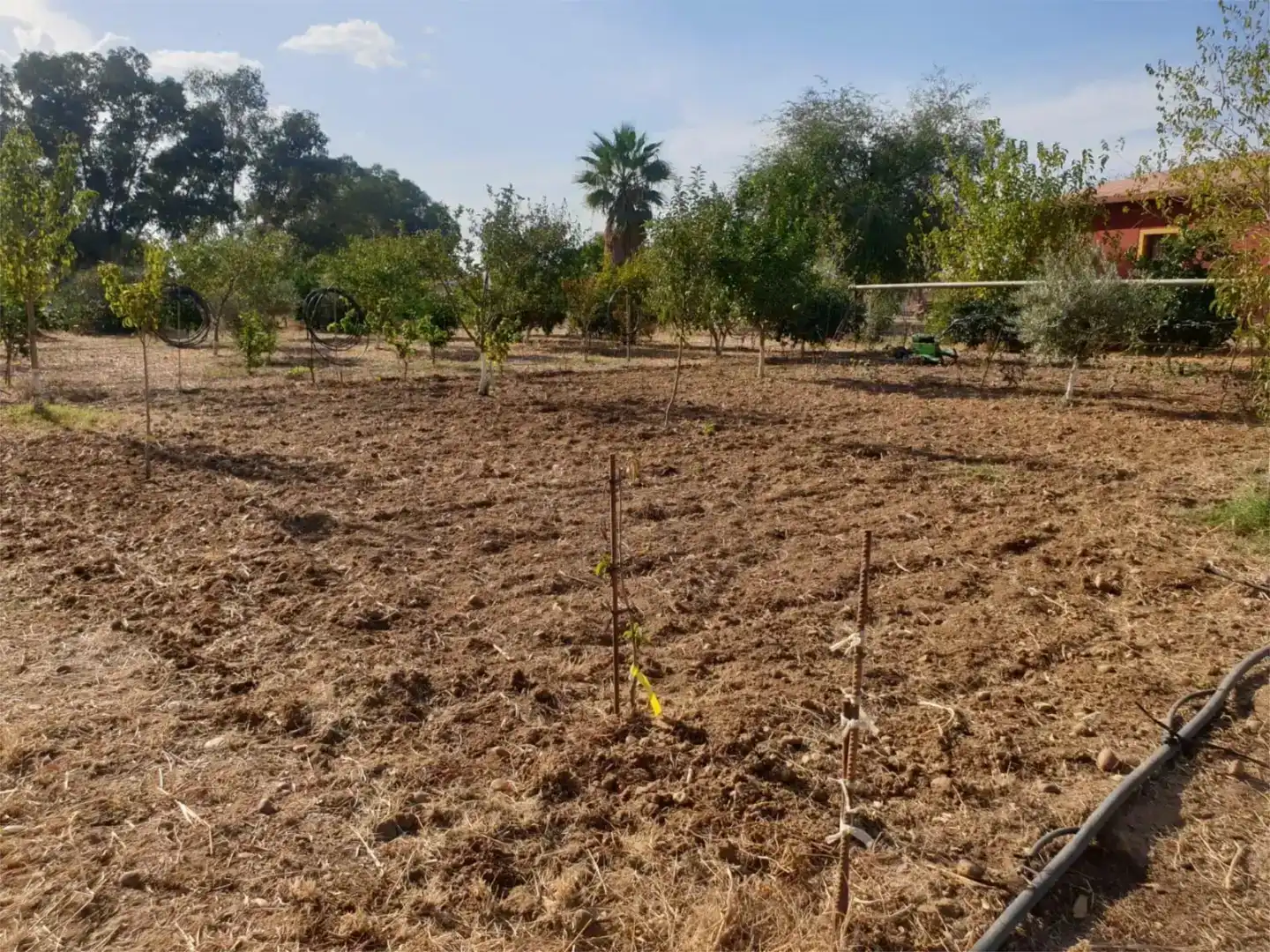 Country house zum Verkauf in Carmona mit Balkon