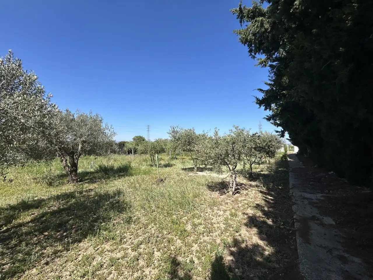 Finca rústica en venda en Tudela amb Piscina